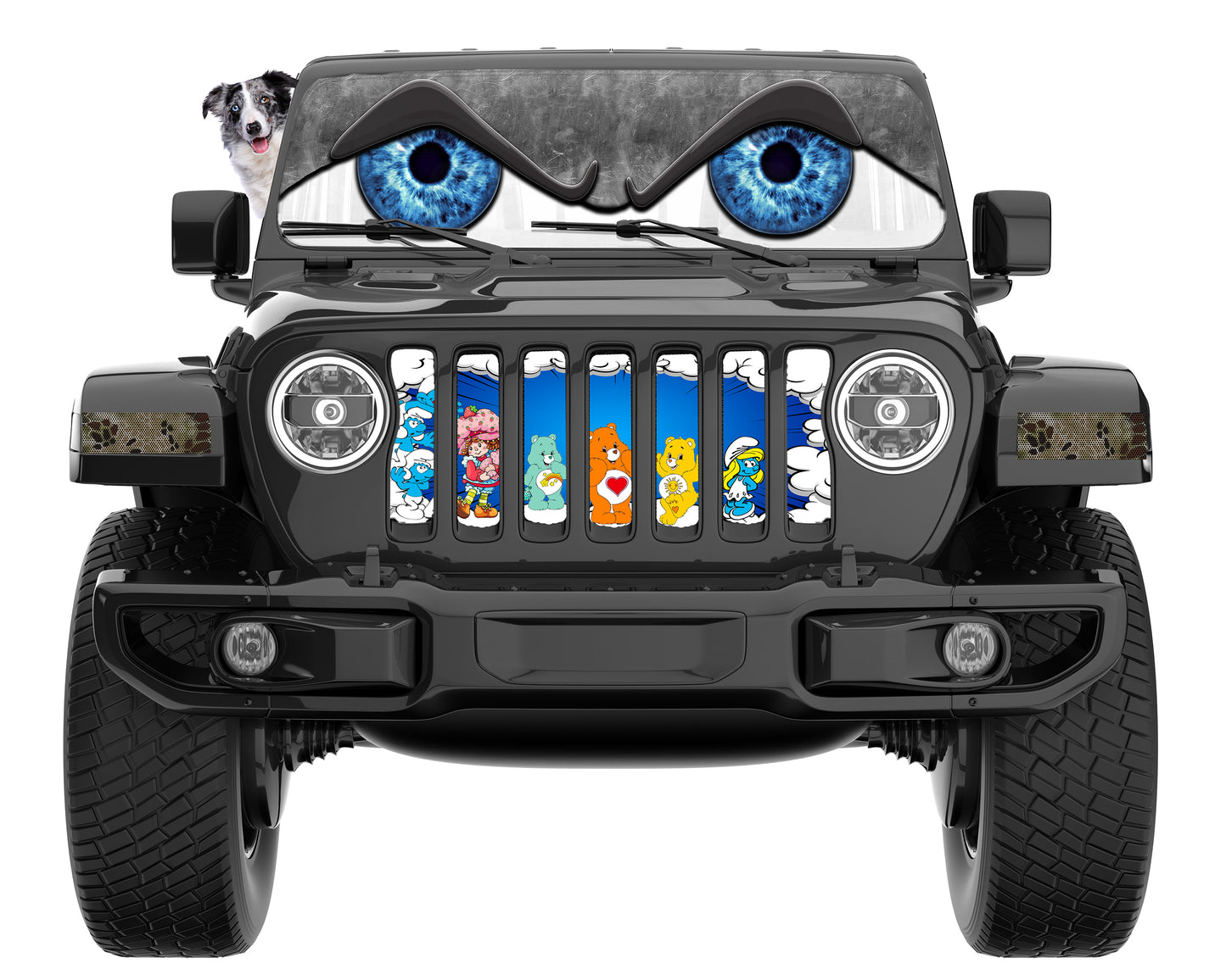 Custom Grill Insert