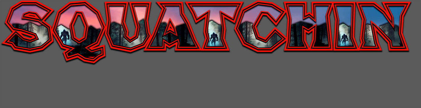 windshield Banner