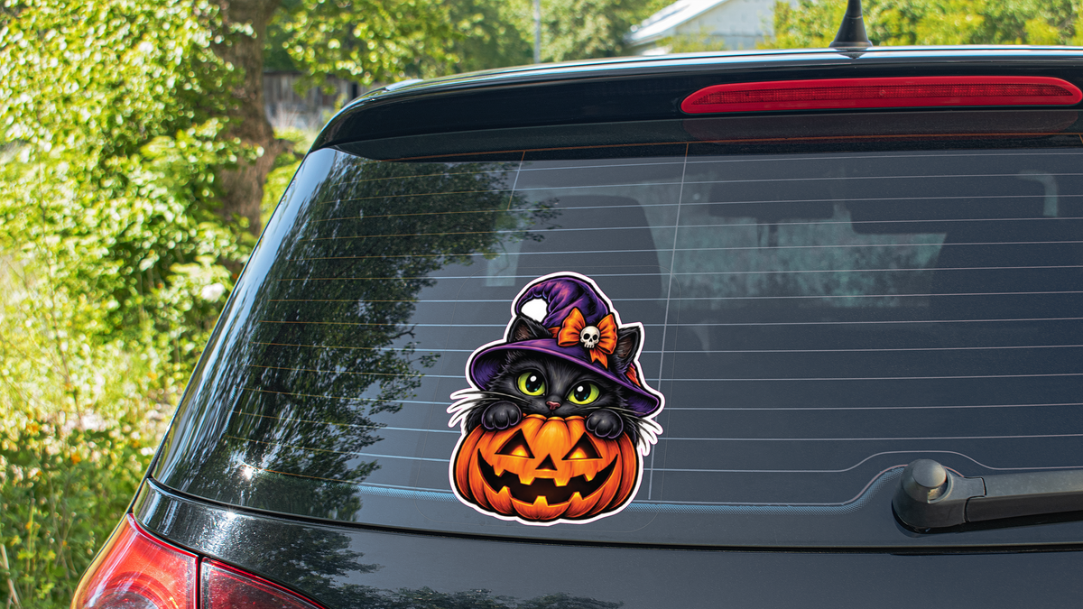 Jack o lantern with black witch cat 12