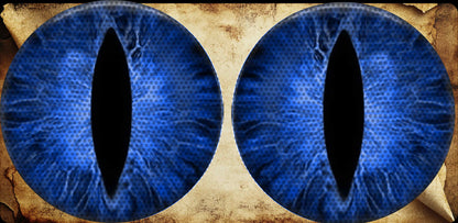 Bluecat eyes for the headlight decals