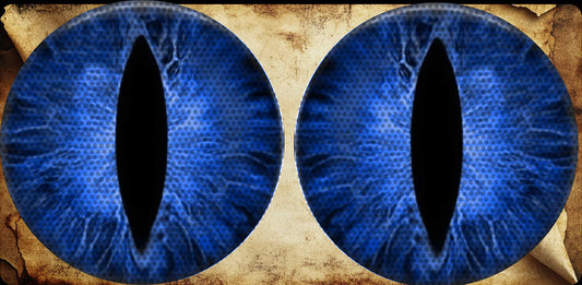 Bluecat eyes for the headlight decals