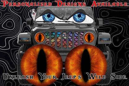 orange cat eyes for the headlight decals