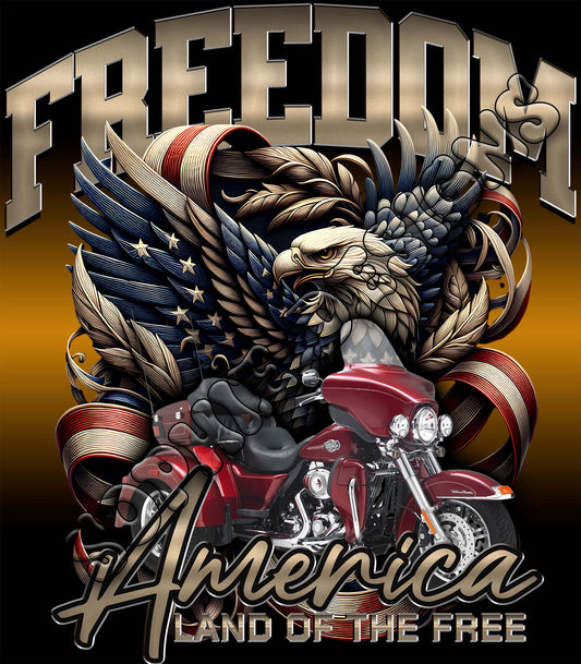 Freedom America Land of the free red trike