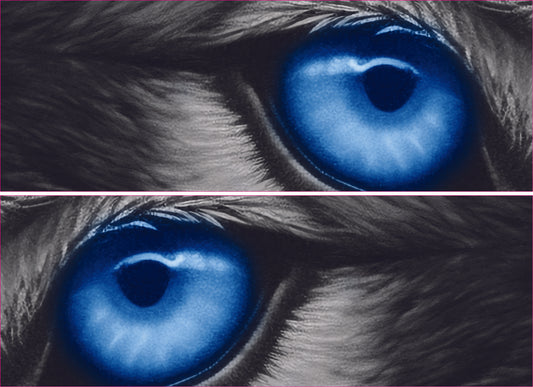 Jeep Grand Cherokee headlight decals blue wolf eye